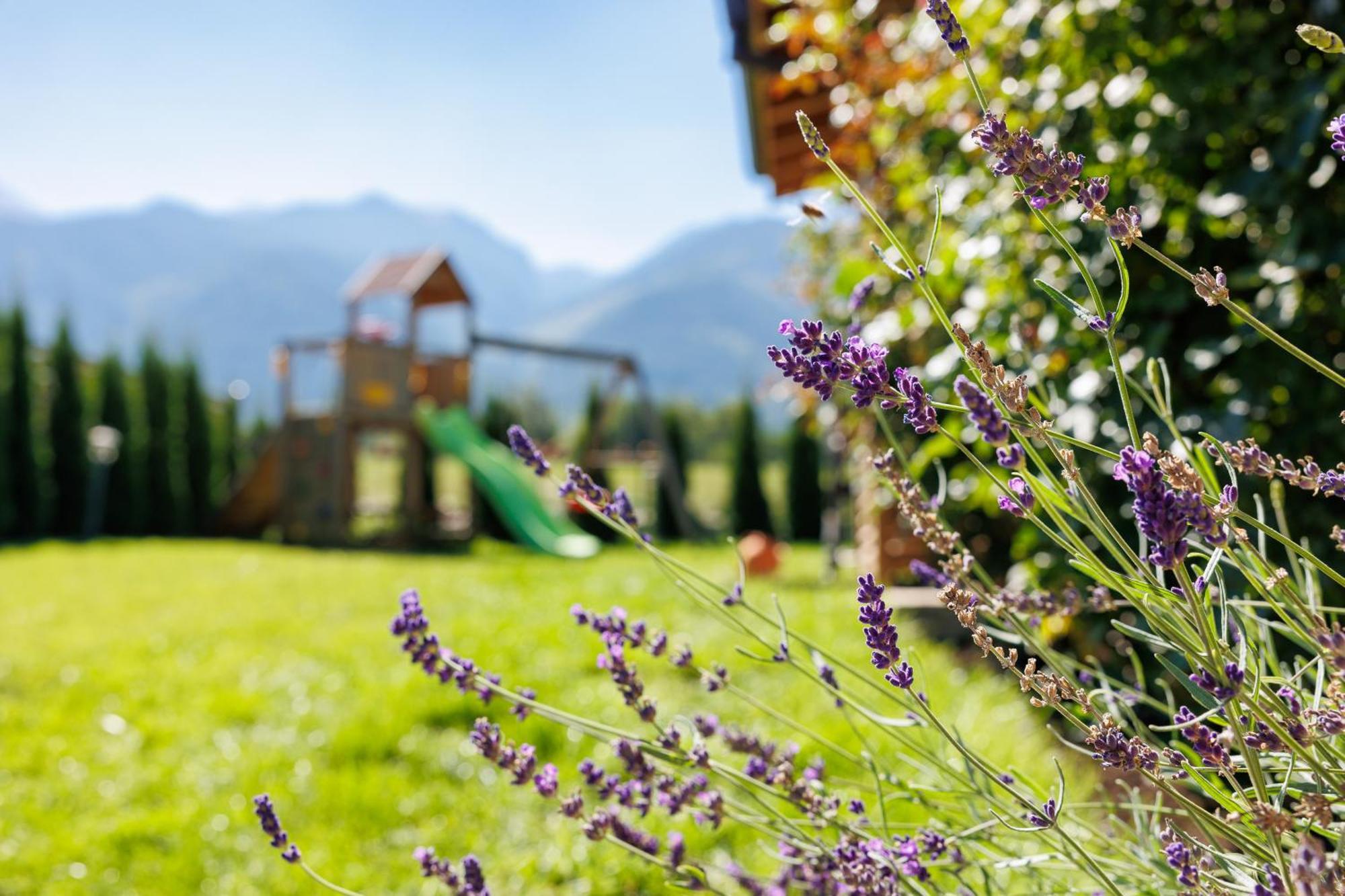 Mountain Villa Aleksia- With Jacuzzi Razlog Luaran gambar